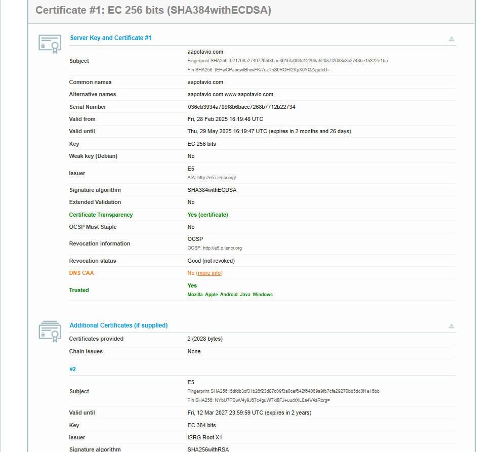 toinen kuva raportista