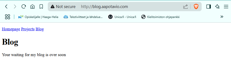 Blog sivusto toimii alidomainilla