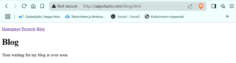 Blog-sivu selaimessa linkitettynä